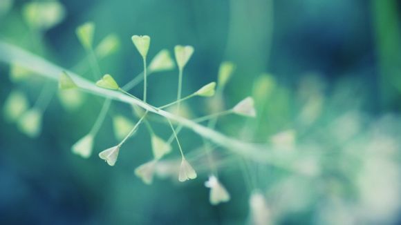 欢迎在宝塔面板安装Z-BlogPHP！