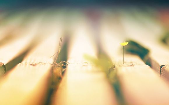 欢迎在宝塔面板安装Z-BlogPHP！